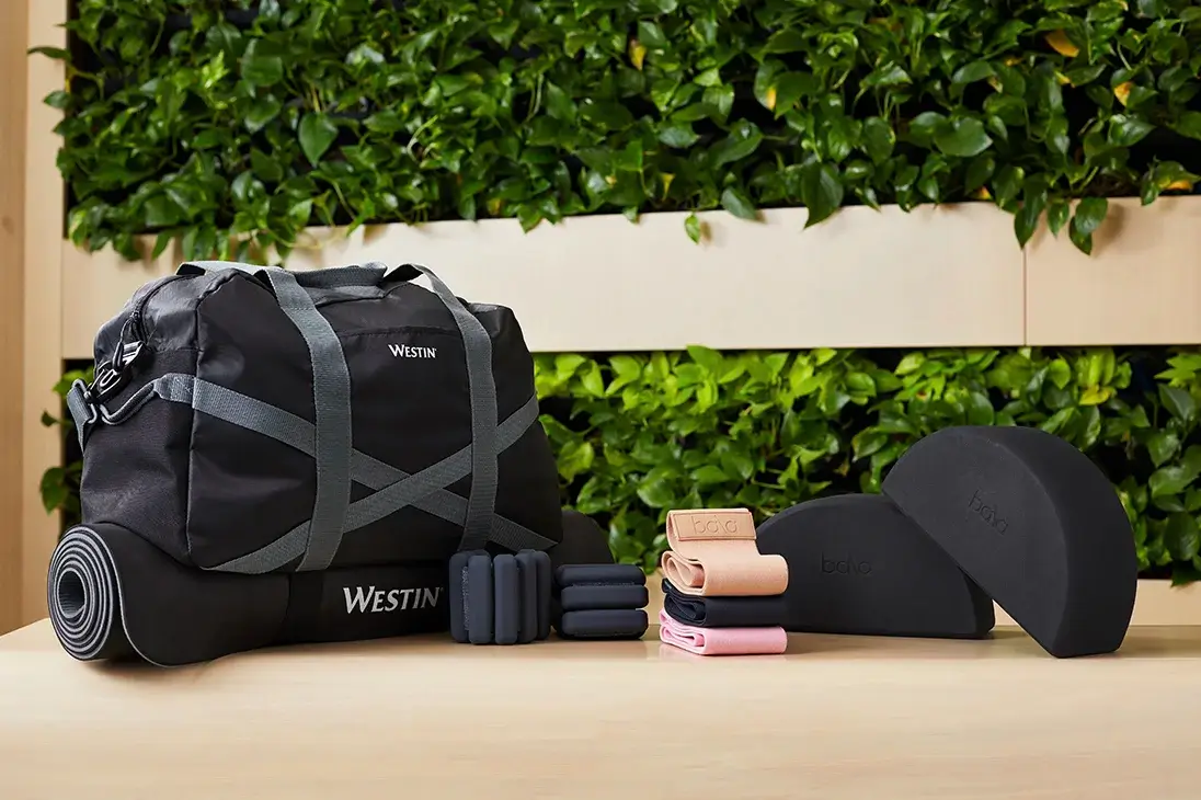 Westin Gear Lending Kit by Bala